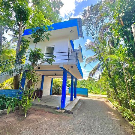 Jungle Fence Bed & Breakfast Бентота Екстериор снимка