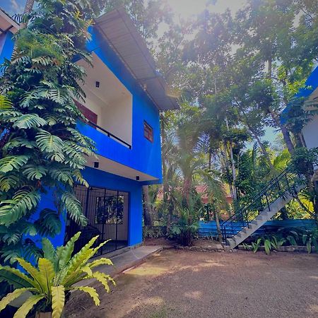 Jungle Fence Bed & Breakfast Бентота Екстериор снимка