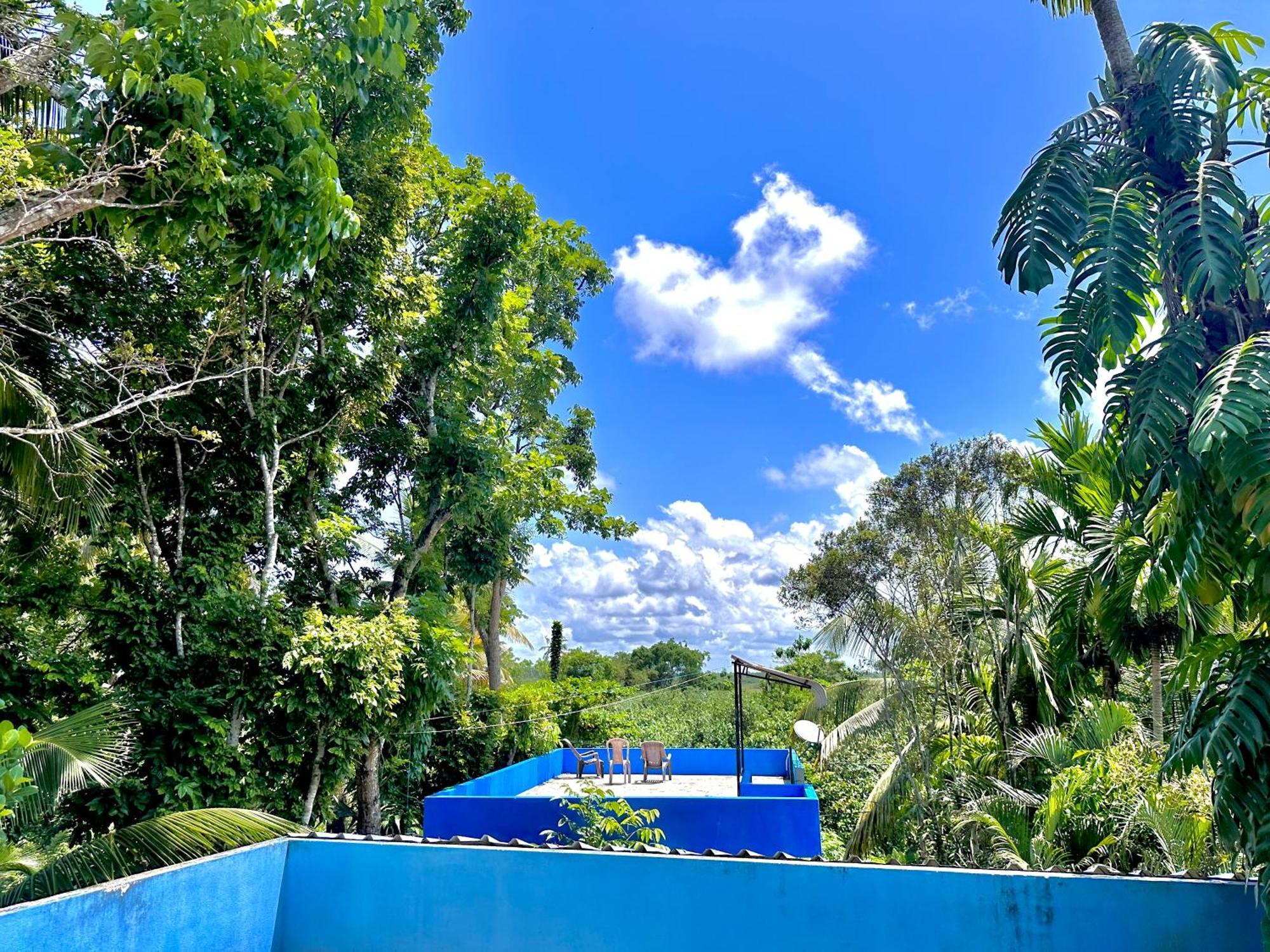 Jungle Fence Bed & Breakfast Бентота Екстериор снимка
